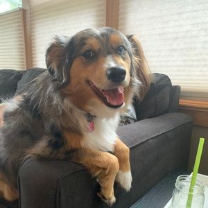 Meet your Posher, Haley